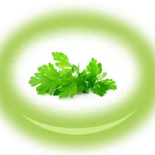 Магданоз